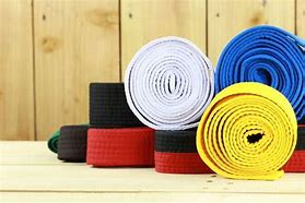 Image result for Karate Belt Colors for Kids