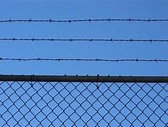 Image result for Barb Wire Fence