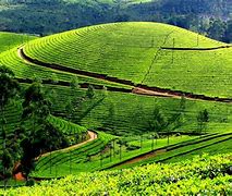 Image result for Hill Relaxing Wallpaper
