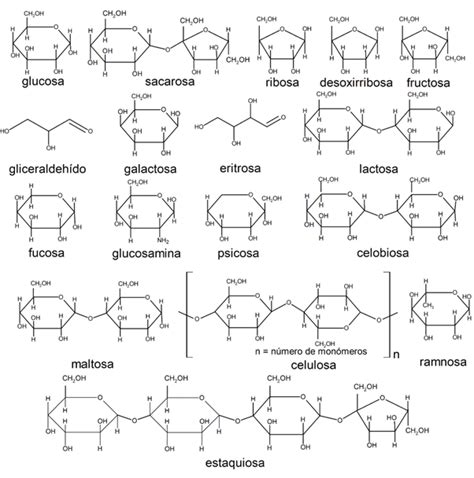 Image result for Optical Sort Machine