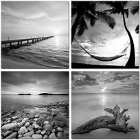 Image result for 4X6 Black and White Prints