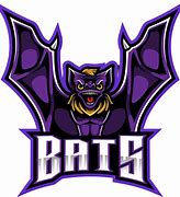 Image result for Bat Name Logo