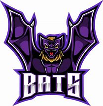 Image result for Mix Bats Logo