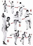 Image result for Advanced Karate Moves