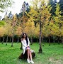 Image result for Taiwan Forest