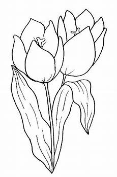 disegno fiori sta e colora fiore disegno fiori sta e colora fiore