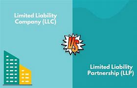 Image result for Domestic Limited Liability Company