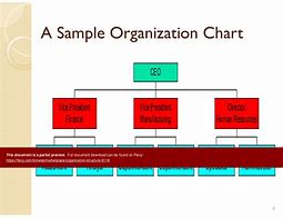 Image result for Network Organisation Structure