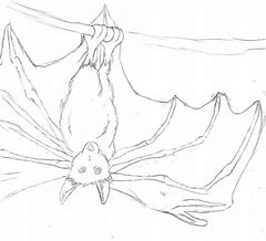 Image result for Fruit Bat man