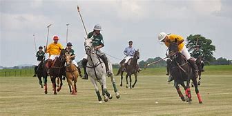 Image result for Polo