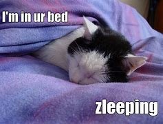 Image result for Memes About Sleeping All M. Night
