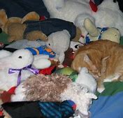 Image result for Stuffed Cat Plush