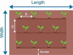 Image result for Wicket Spacing Chart