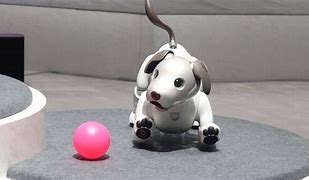 Image result for Aibo Robot Dog Different Colors