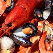 Image result for Shellfish