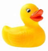 Image result for Top View of Rubber Duck