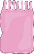 Image result for Transparent iPhone Body