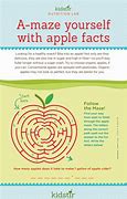 Image result for Interesting Facts About Apple's