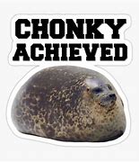 Image result for Seal Mother Chonk Meme