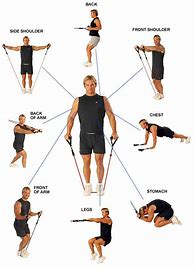 Image result for Resistance Bands for Exercise
