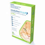 Image result for Revolution for Cats 6Pk