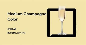 Image result for Medium Champagne Color