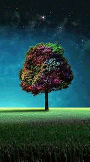 Image result for Tree Wallpaper Android
