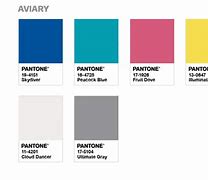 Image result for Pantone 11s