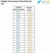 Image result for How Tall Is 155 Cm in Feet