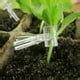 Image result for Spring Loaded Tomato Grafting Clips