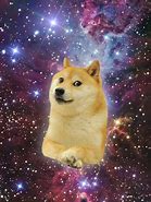 Image result for Doge Space Meme