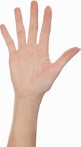 Image result for Hand Unit