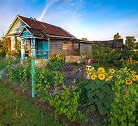 Image result for dacha