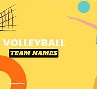 Image result for Example of Volleyball Team Name