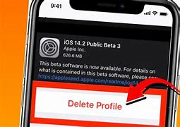 Image result for How to Delete Beta iOS