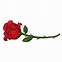 Image result for Red Rose Flower Clip Art
