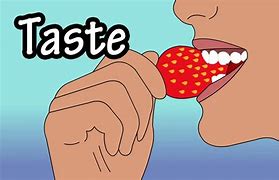 Image result for 5 Senses Taste Clip Art