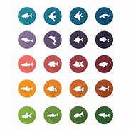 Image result for Fish Icons for Discord