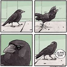 Image result for Raven Funny Drawing