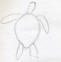 Image result for Turtle to Draw