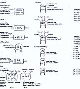 Image result for Polyester Capacitor Code