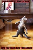 Image result for When You Walking Cat Meme