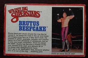 Image result for Wrestling Bio Cards