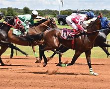 Image result for Quarter Horse Race Track in Canada