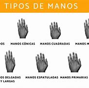 Image result for Tipos De Manos