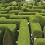 Image result for Circular Hedge Maze