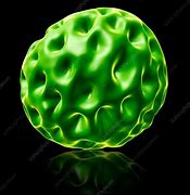 Image result for Chlamydia Molecular Structure
