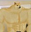 Image result for Doge Meme Template