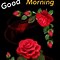 Image result for Good Morning Happy Friday Eve