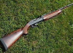 Image result for Winchester SX3